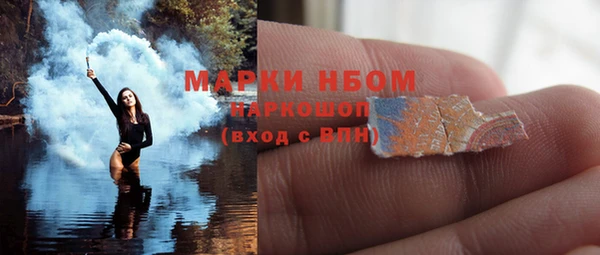 прущий лед Арсеньев