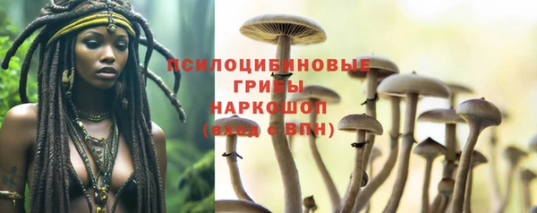 МДПВ Аркадак