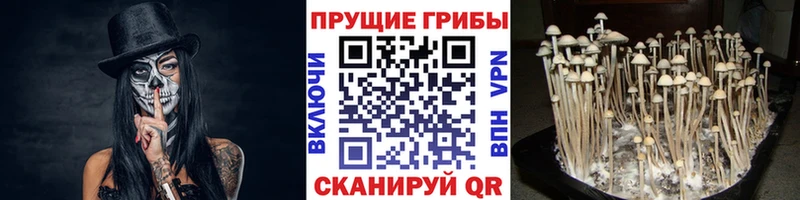 Псилоцибиновые грибы ЛСД  Североморск 